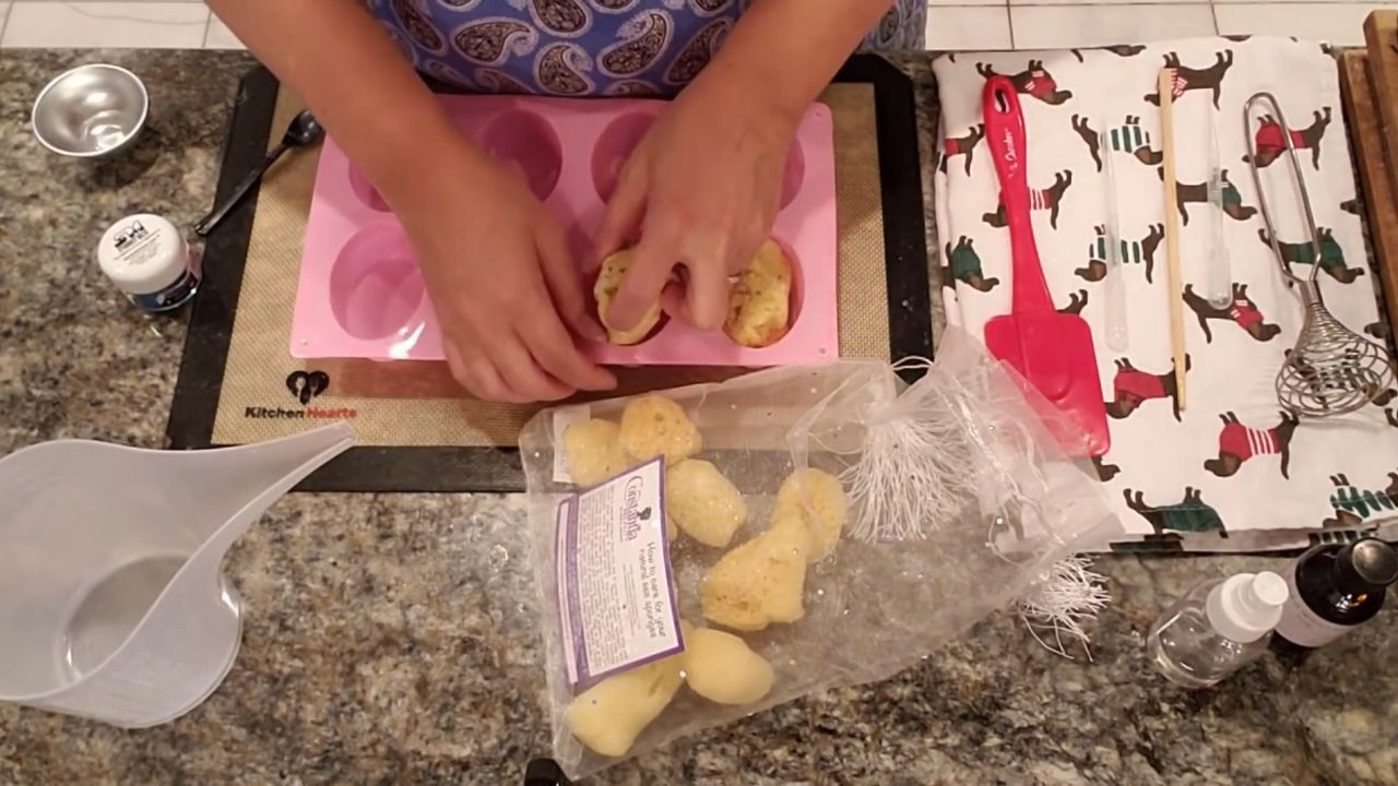 Checking that sea sponges fit the mold cavities with part sticking out
